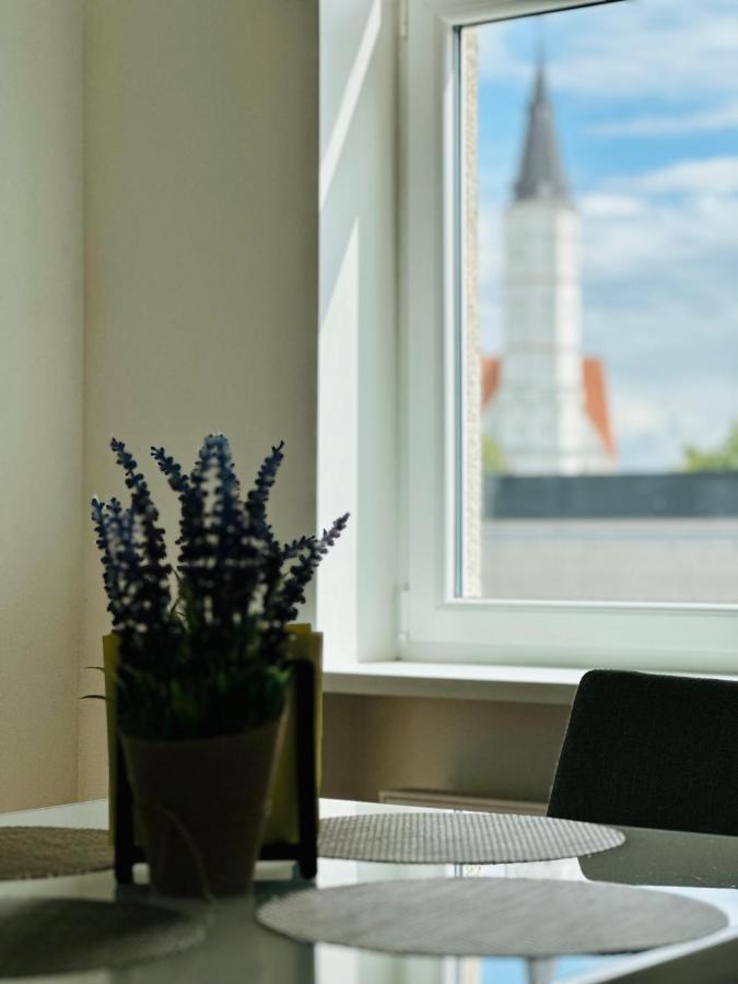 Butas Paciame Siauliu Miesto Centre Apartment Siauliai  Bagian luar foto